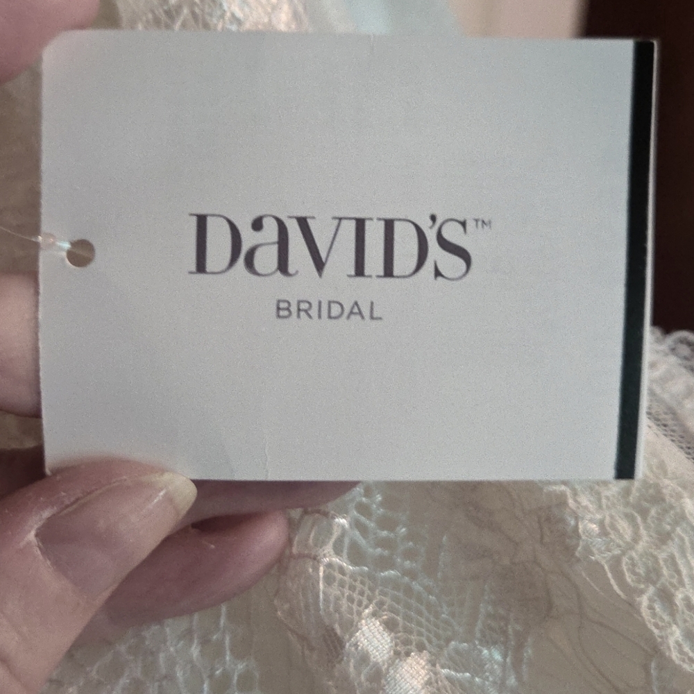 Lace Wedding Dress - Picture 10 of 11